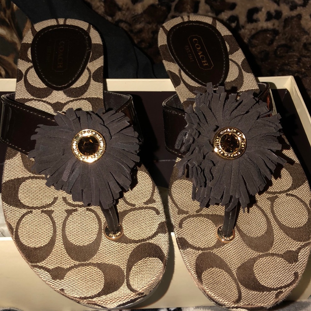 Shoes - Picture 2 of 8